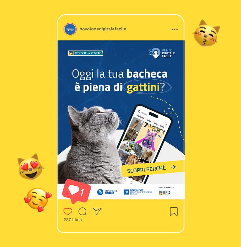 Galleria immagine