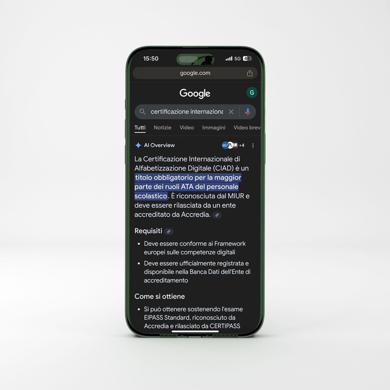 NS-blog-Ai-overview-2.jpg