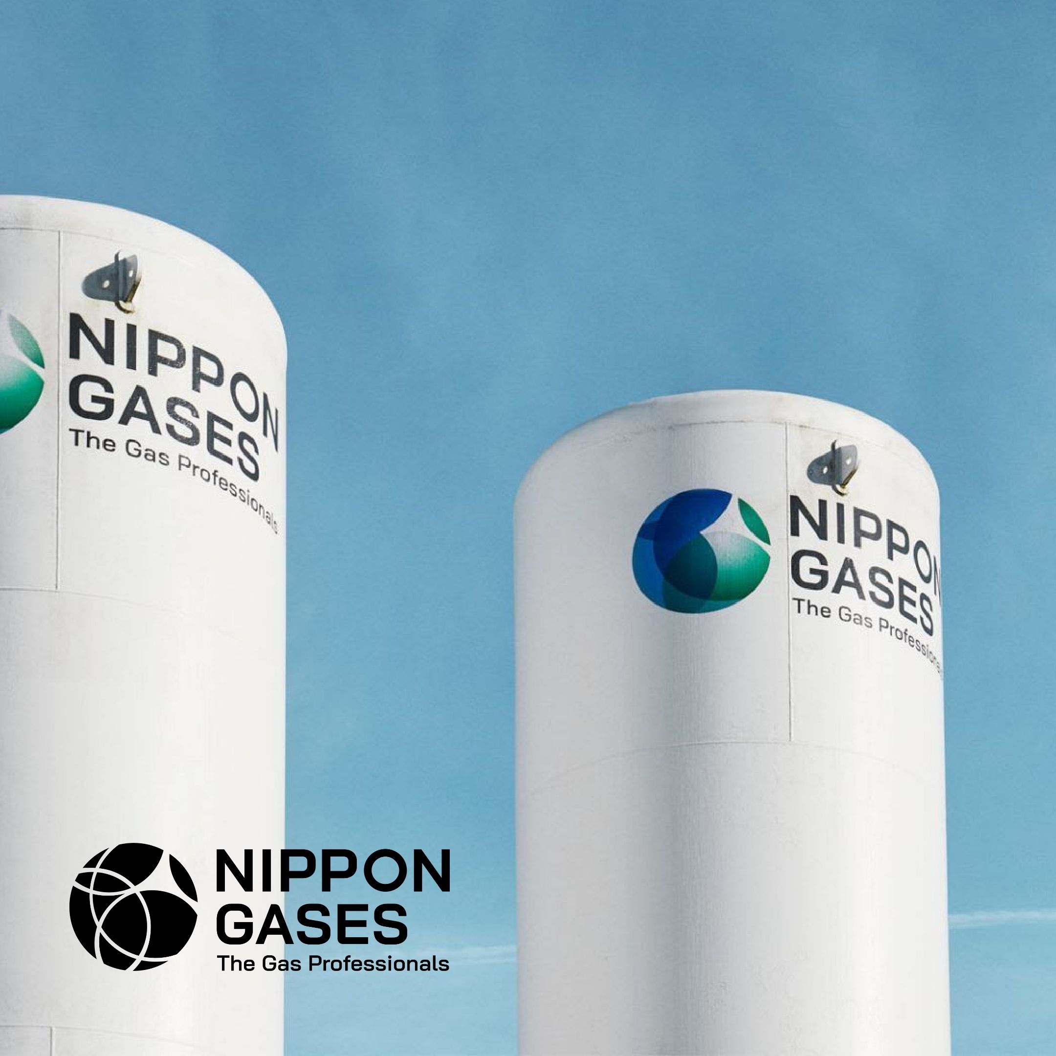 Caso studio Nippon Gases